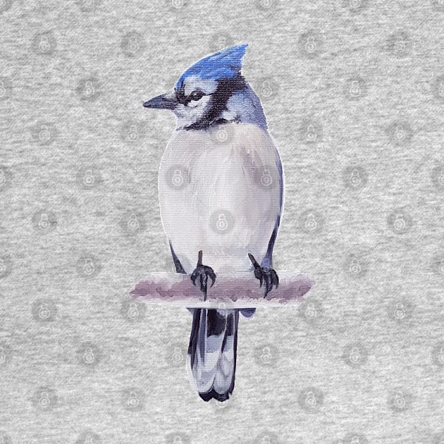 Blue Jay in Silver Light (no background) by EmilyBickell